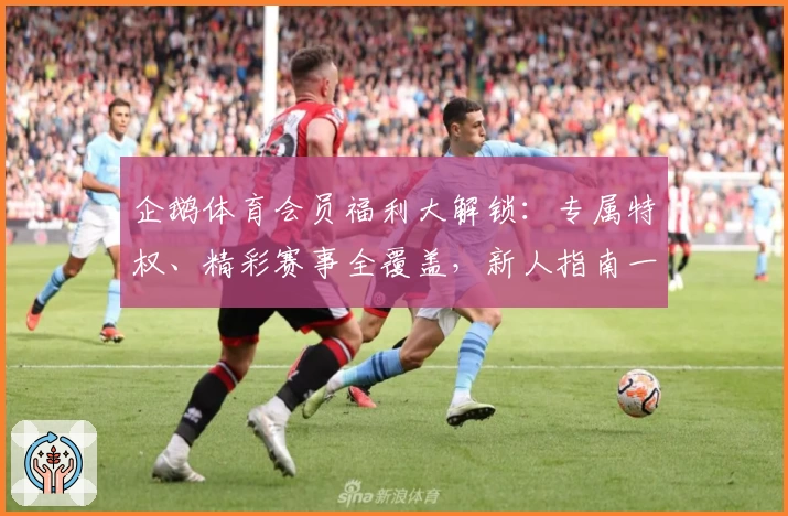 企鹅体育会员福利大解锁：专属特权、精彩赛事全覆盖，新人指南一键畅享
