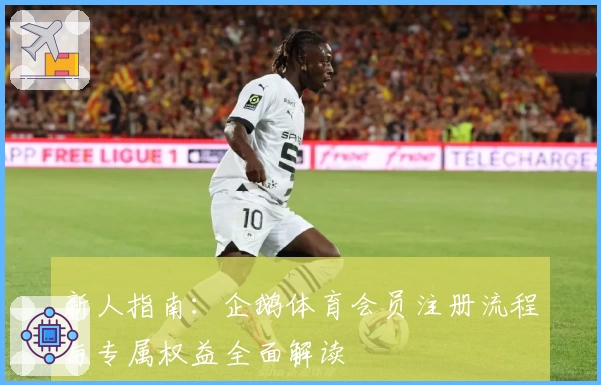 新人指南:企鹅体育会员注册流程与专属权益全面解读