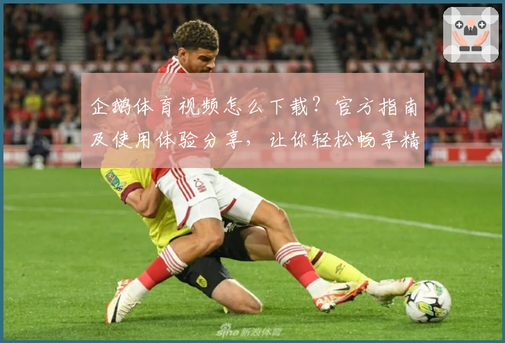 企鹅体育视频怎么下载？官方指南及使用体验分享，让你轻松畅享精彩赛事