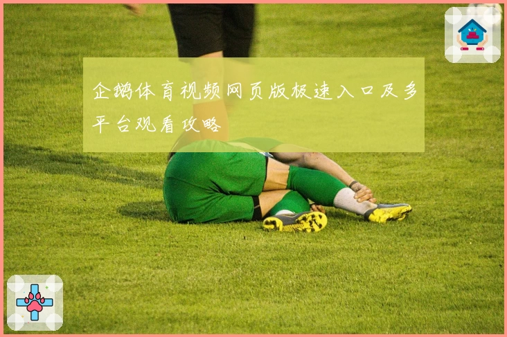 企鹅体育视频网页版极速入口及多平台观看攻略