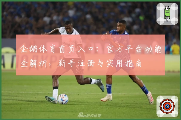 企鹅体育首页入口：官方平台功能全解析，新手注册与实用指南