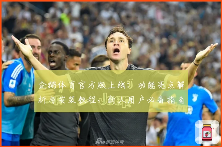 企鹅体育官方版上线：功能亮点解析与安装教程，新人用户必备指南