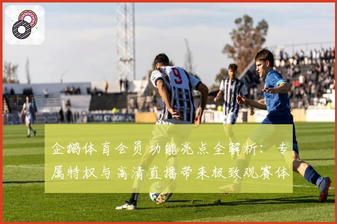 企鹅体育会员功能亮点全解析：专属特权与高清直播带来极致观赛体验