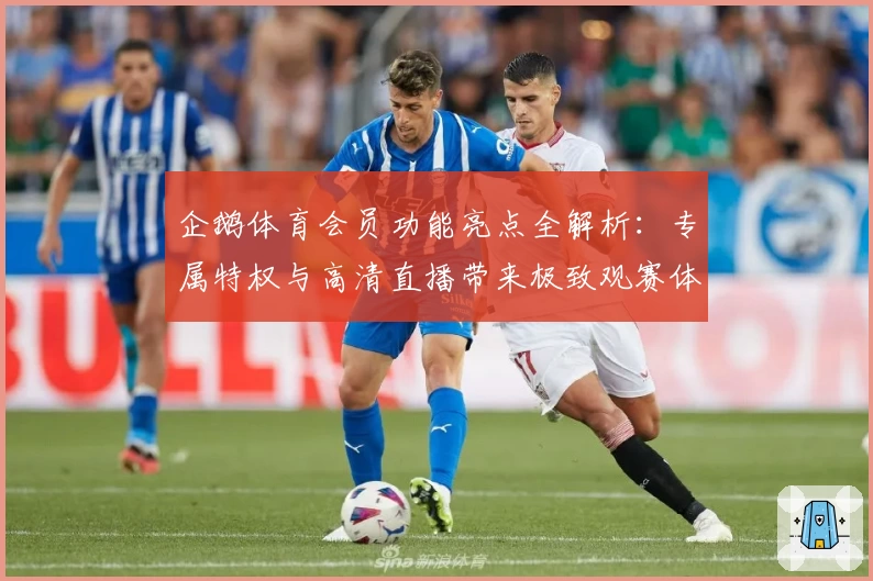 企鹅体育会员功能亮点全解析：专属特权与高清直播带来极致观赛体验
