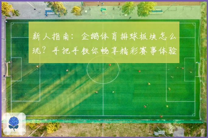 新人指南：企鹅体育排球板块怎么玩？手把手教你畅享精彩赛事体验