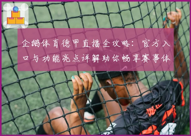 企鹅体育德甲直播全攻略：官方入口与功能亮点详解助你畅享赛事体验