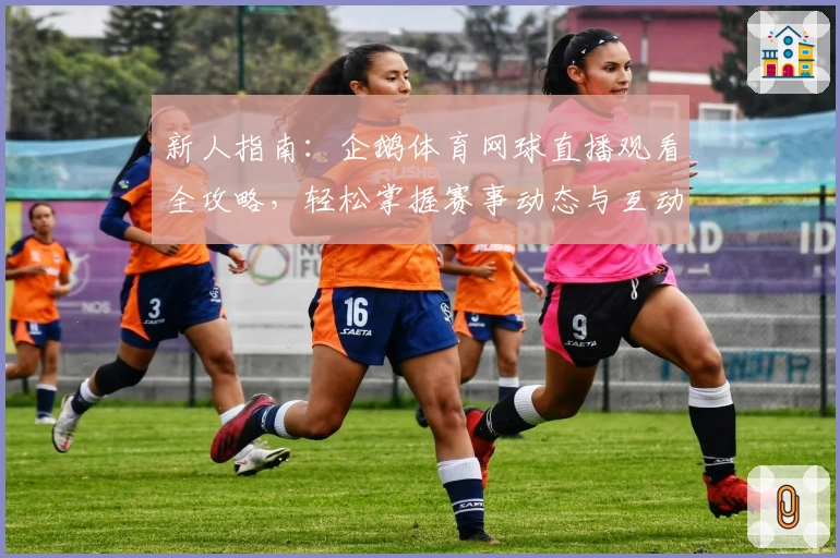 新人指南：企鹅体育网球直播观看全攻略，轻松掌握赛事动态与互动玩法