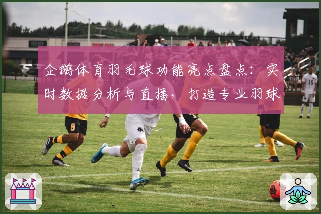 企鹅体育羽毛球功能亮点盘点：实时数据分析与直播，打造专业羽球玩家新体验