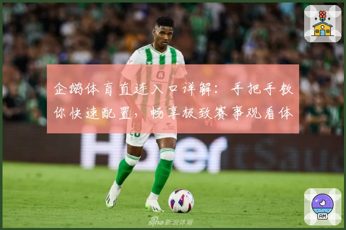 企鹅体育直连入口详解：手把手教你快速配置，畅享极致赛事观看体验